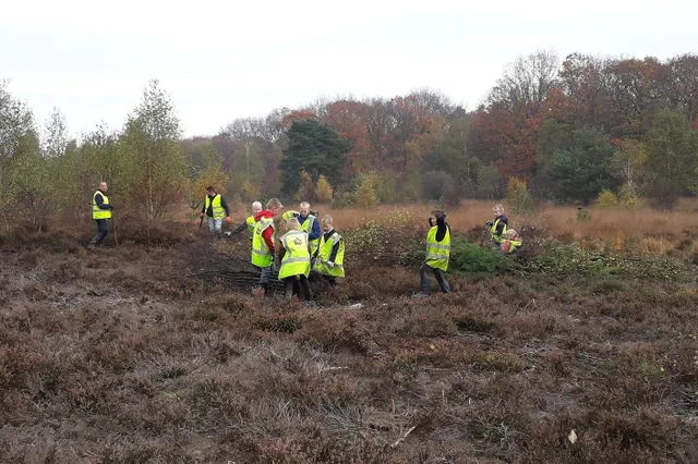Vrijwilligers nodig voor opschonen heide bij Koolhaarweg