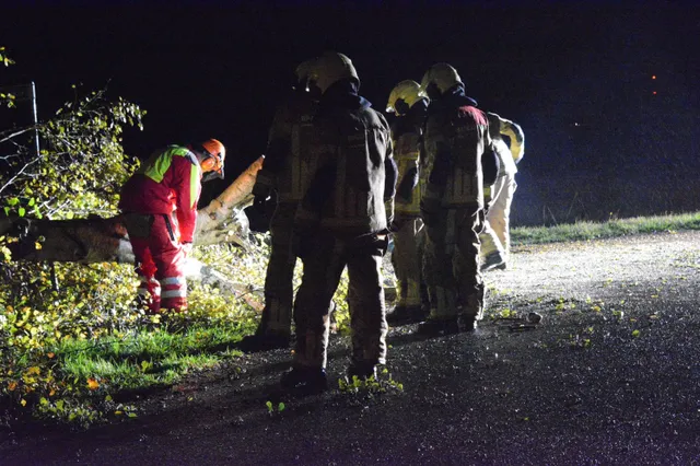Boom waait om en belandt op buitenweg in Rouveen