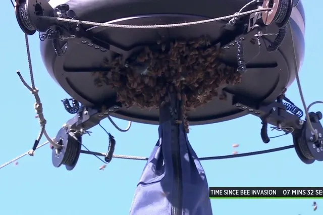 (VIDEO) One of the strangest incidents in tennis as Alcaraz-Zverev Indian Wells match postponed due to an invasion of Bees