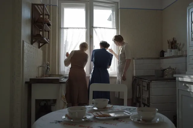 ny5uz8vvjoedkmlvtp36snp6zvb