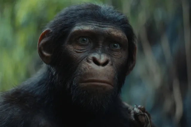 Nieuwste Planet of the Apes-film van regisseur Wes Ball vanaf vandaag te streamen