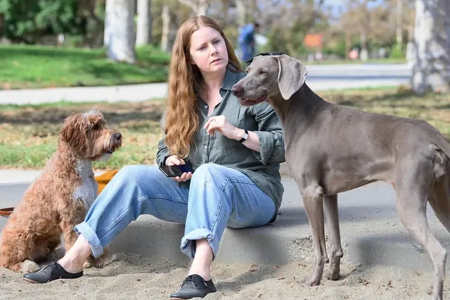 Trailer onthuld van nieuwe horror-comedy met Amy Adams die denkt te veranderen in een hond