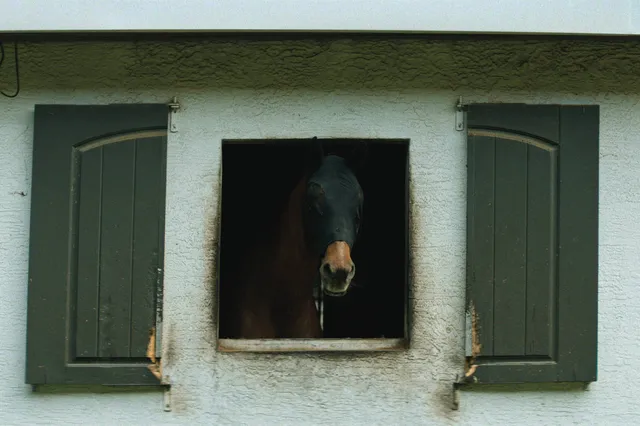 Untold__The_Shooting_at_Hawthorne_Hill_n_00_30_13_00