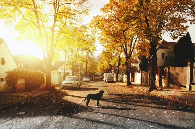 Geniet optimaal van de herfstzon: Ontdek welk lichaamsdeel het meeste vitamine D aanmaakt