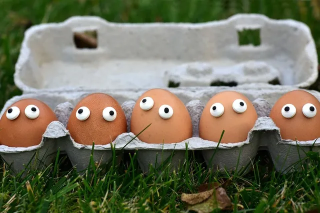 Eindelijk antwoord: moet je eieren in de koelkast bewaren of niet?