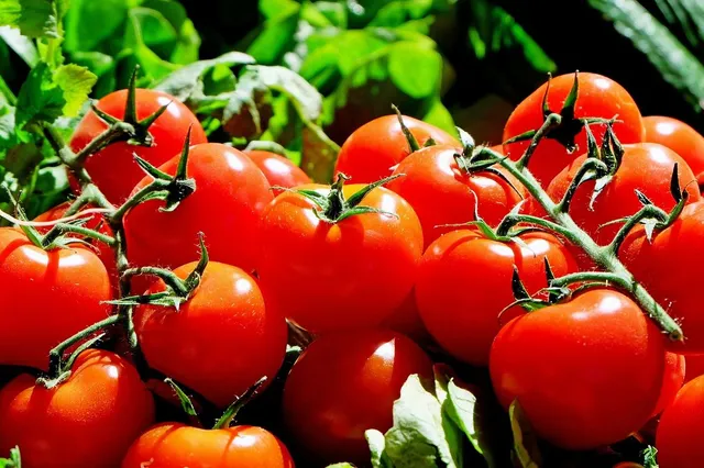 Wat kunnen tomaten betekenen voor je gewicht?