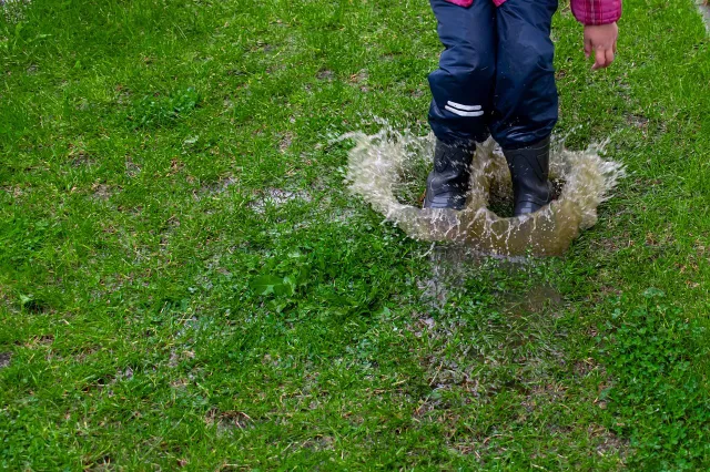 Eerste lentedagen komen eraan: Dit moet je dan doen in je tuin