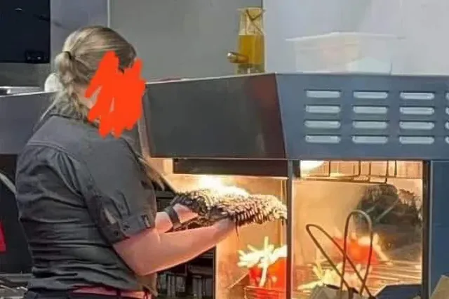McDonalds werknemer droogt vieze zwabber bij de frietjes