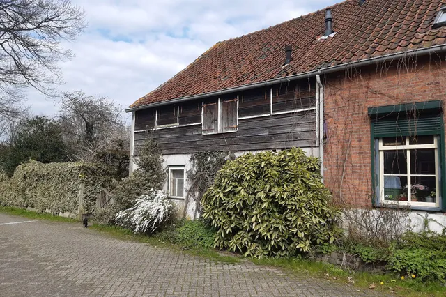 Laatste stadswandelingen door Waalwijk en Baardwijk voor de zomer Image