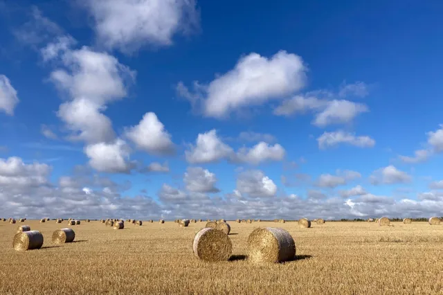Beginnerscursus fotografie start weer bij Kunstencentrum Waalwijk