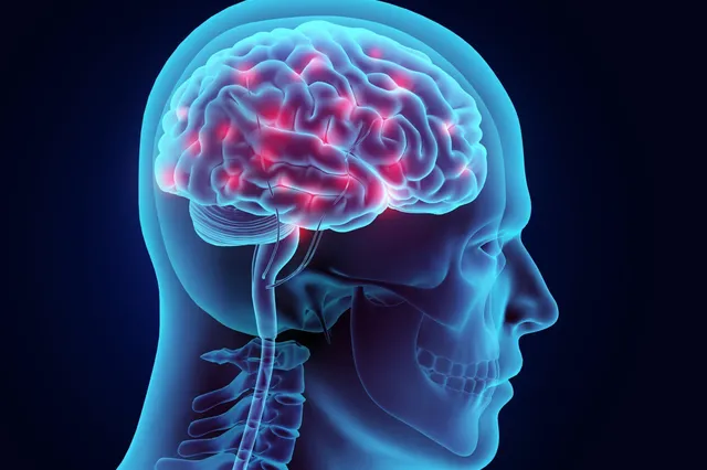 3 manieren om je hersens gezond te houden