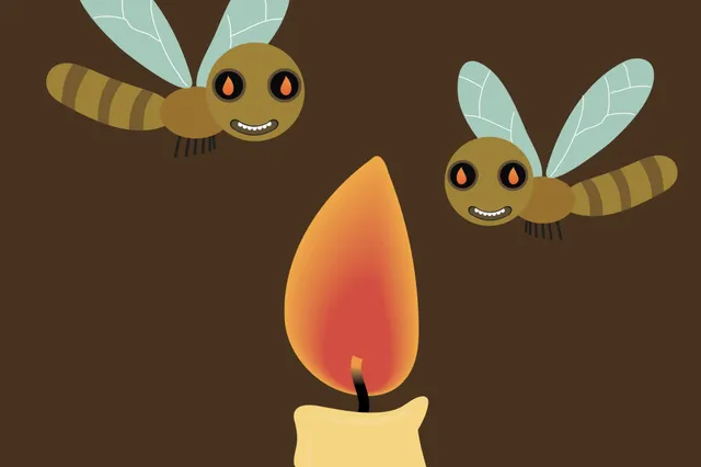 Waarom vliegen insecten in het donker naar het licht?