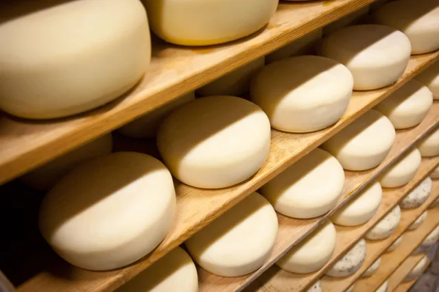Jarenlang amfetaminen in kaas gevonden op Oldenzaalse markt. Kaasboer raakt vergunning kwijt