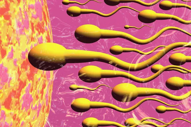 Chemische stoffen in plastic desastreus voor spermakwaliteit: 'Jongens veel eerder in puberteit'