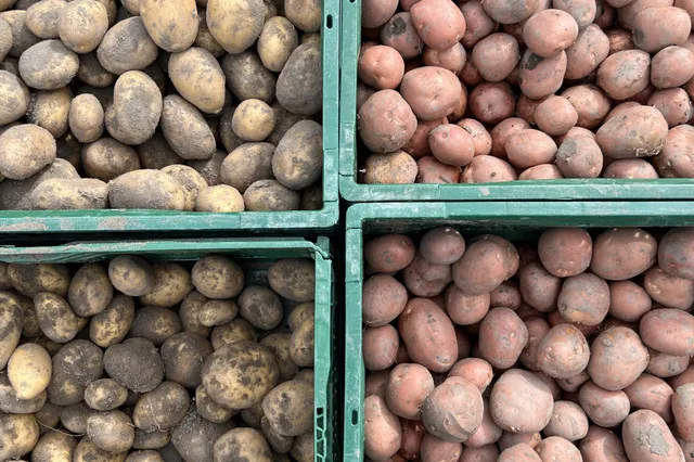 Hoe voorkom je uitlopers en kun je aardappelen dan nog in de pan gooien?
