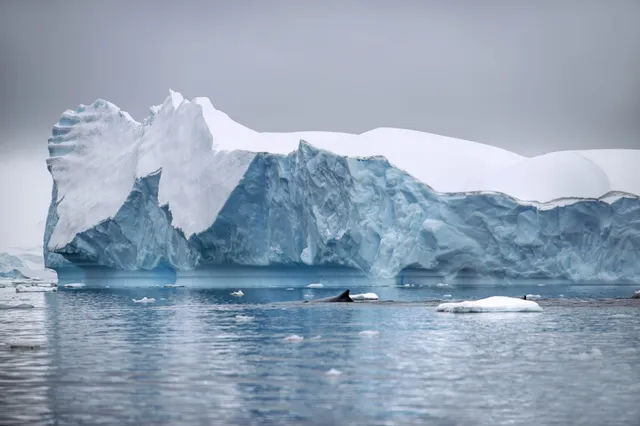 Nog nooit was er zo weinig zee-ijs op Antarctica: een derde minder dan normaal