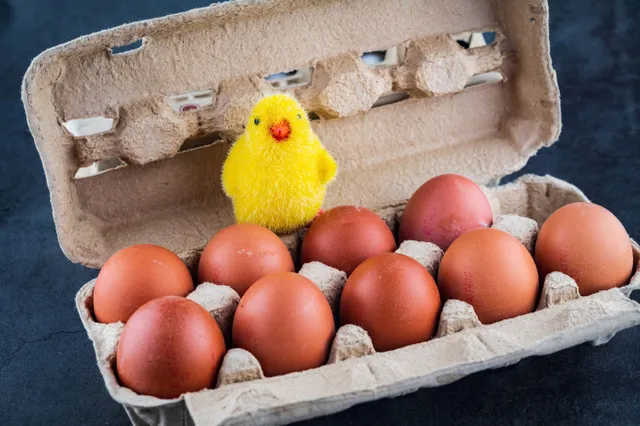 Dit is waarom je eieren bij voorkeur gekoeld en op de kop in de doos bewaart