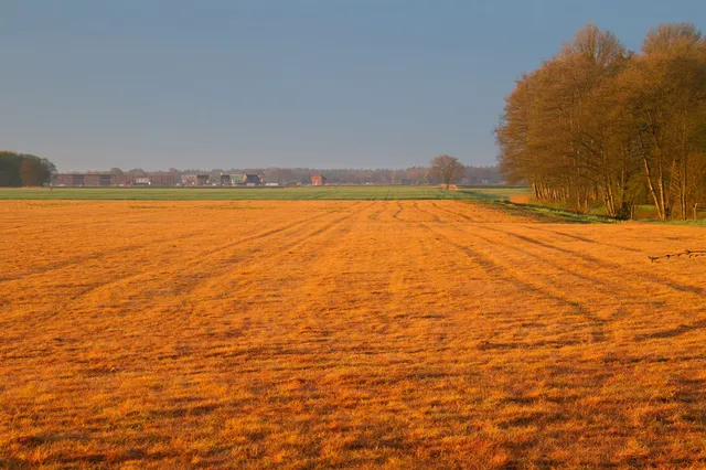 Europese Commissie gaat controversieel landbouwgif glyfosaat voor 15 jaar goedkeuren