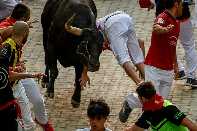 Stier doorboort been en scrotum van Nederlander (58) tijdens stierenrennen in Pamplona