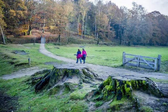 Neurowetenschapper: "Wandelen is de grootste probleemoplosser die er bestaat"