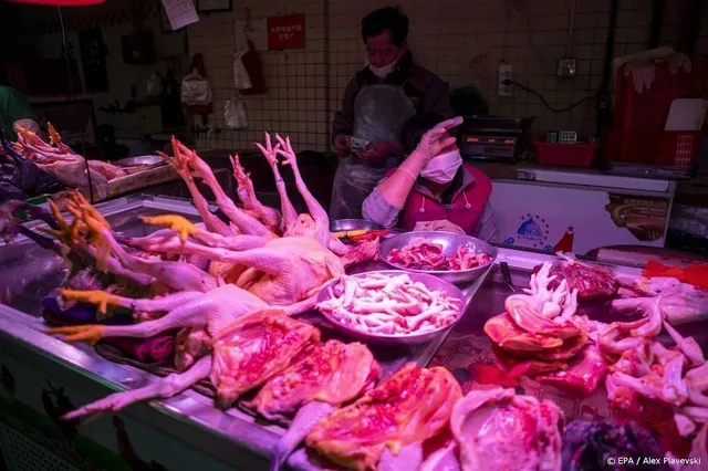 Onderzoek concludeert: corona-uitbraak begon op dierenmarkt Wuhan