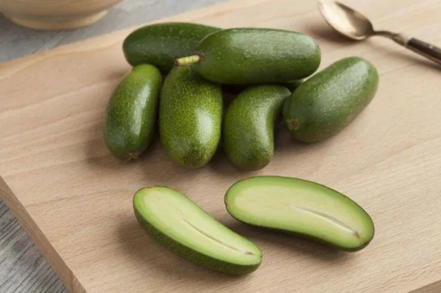 Nieuw: pitloze avocado met eetbare schil