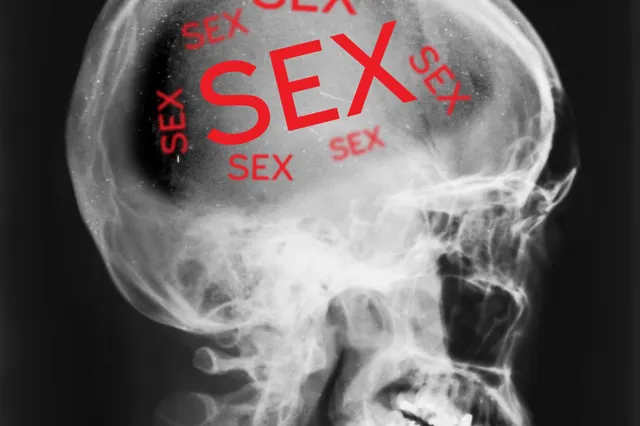 Kan seks voorkomen dat onze hersenen ouder worden?