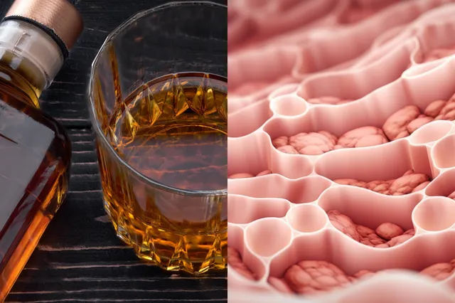 Hoe het drinken van alcohol je darmflora beinvloedt