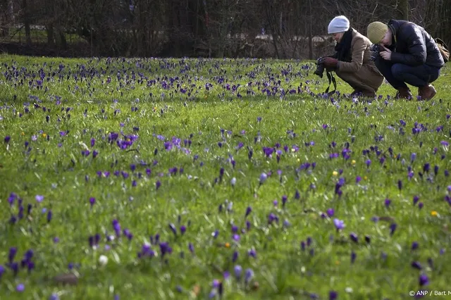 Klimaatdienst: februari is negende maand op rij met warmterecord