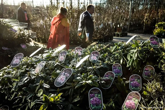 Tuinbranche verkoopt minder vuurkorven, maar meer planten