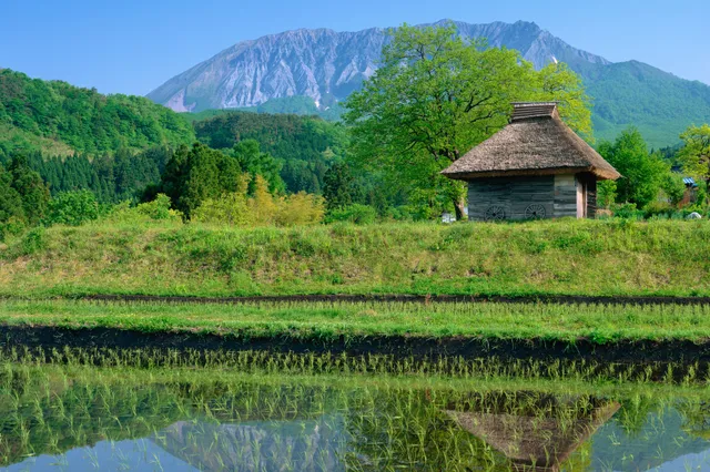 14 procent van alle huizen in Japan staat leeg: buitenlanders komen erop af als vliegen op de stroop