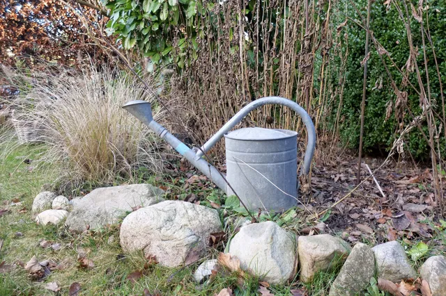 Weg met het 'netheidscomplex': Zo maak je wél een prachtige, natuurvriendelijke tuin