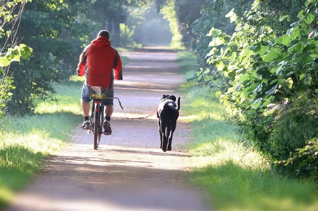 'Hond uitlaten naast scooter of fiets is dierenmishandeling'