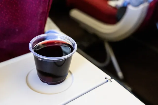 "Drink alstublieft geen alcohol als je  in een vliegtuig zit."