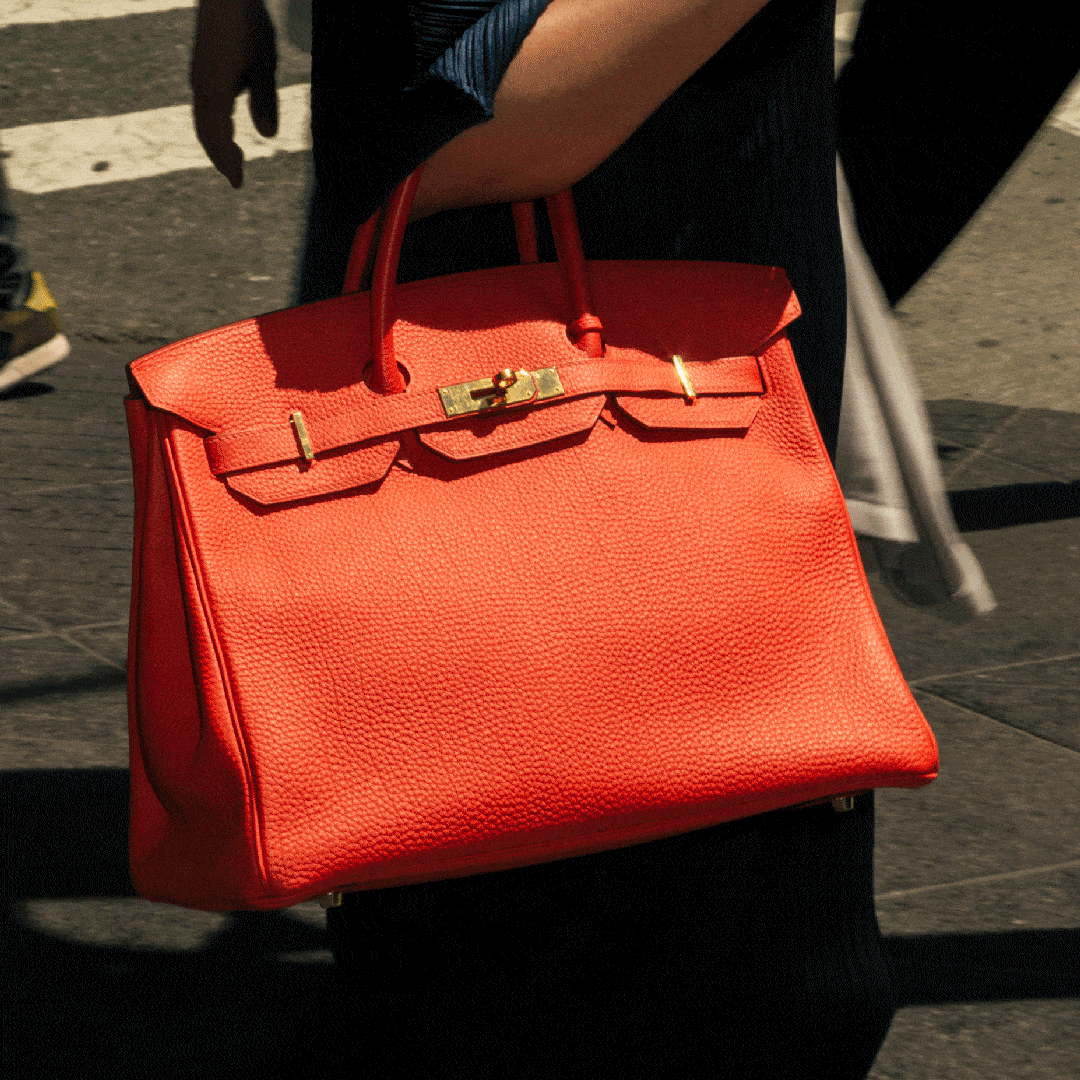 De Wondere Wereld van de Hermès Birkin