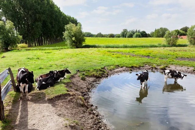 Bloedheet vandaag en morgen