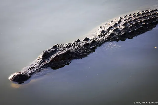 Krokodil eet kind op. Australische politie vindt resten