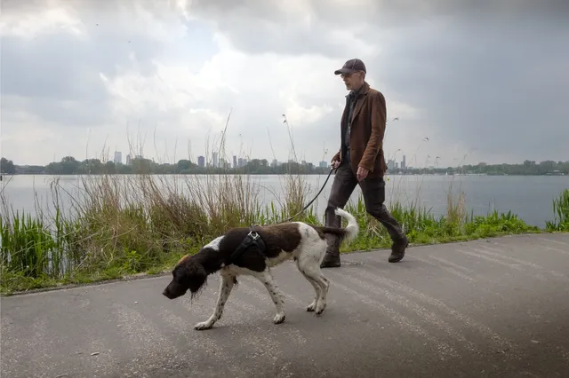 Hoe lang kan een hond zijn plas ophouden? ’Lang wachten met uitlaten is dierenmishandeling’