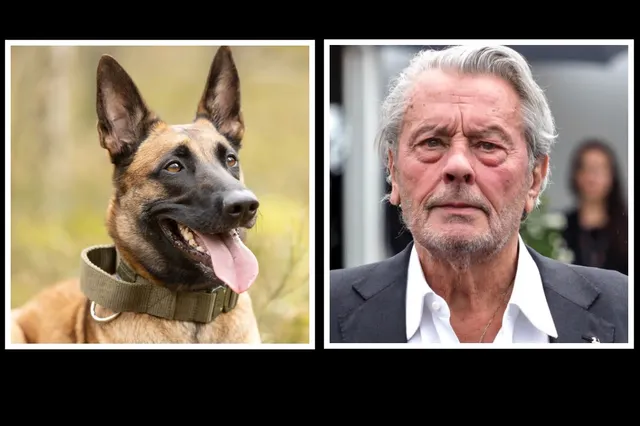 Alain Delon's familie weigert diens hond dood te maken