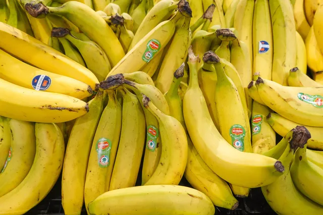 Bijna 100 kilo cocaïne komt in Duitse supermarkten terecht door 'foutje' in Antwerpse haven