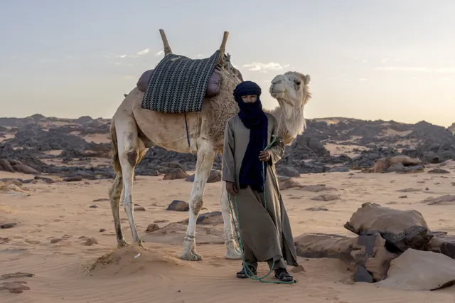 Het regent al dagenlang keihard in de Sahara: 'Laatste keer was in 1994'