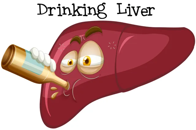 Hoe lang heeft je lever nodig om te ontgiften van alcohol?