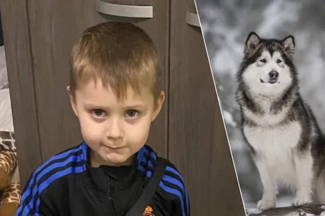 Broer was getuige toen 5 honden zijn broertje verscheurden