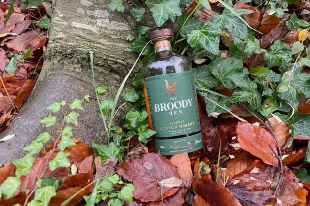 The Broody Hen Blended Scotch Whisky Review– The hidden spirit