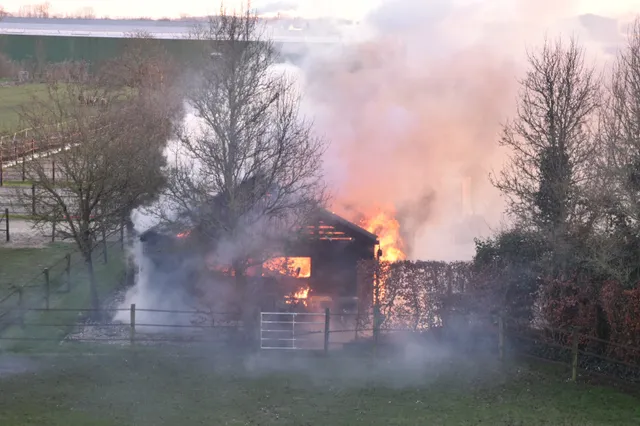 Brand verwoest loods met paarden aan Waalbandijk in Nieuwaal
