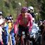 ¡Primer equipo en confirmar su '7' para el Giro de Italia 2024!: Geraint Thomas lidera INEOS Grenadiers