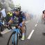 La alta montaña del Giro de Italia le sienta bien a Movistar Team: Einer Rubio se coloca 8º y Nairo Quintana gana sensaciones