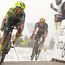 Daniel Martinez leads BORA - hansgrohe's Maglia Rosa charge at Giro d'Italia with Danny van Poppel providing sprint option