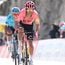 Medical Report and withdrawals Tour de Suisse 2024 - Update stage 5: 2 injured leaders for EF Education ahead of Tour de France