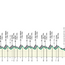 Profile & Route Coppa Agostoni 2024